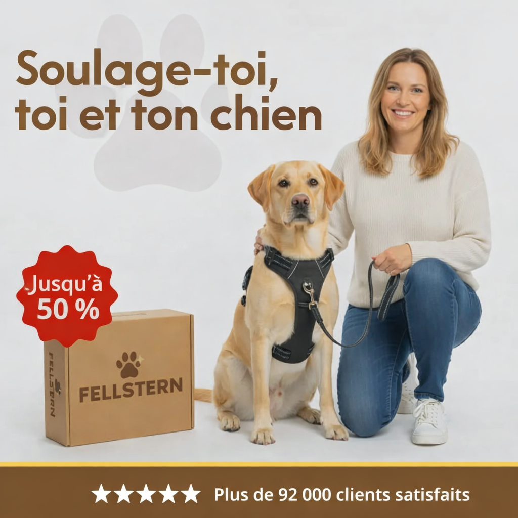 fellstern