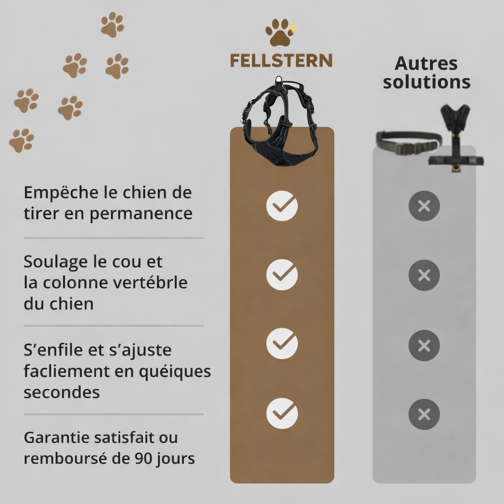 fellstern