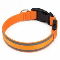 FellStern™ Leucht-halsband